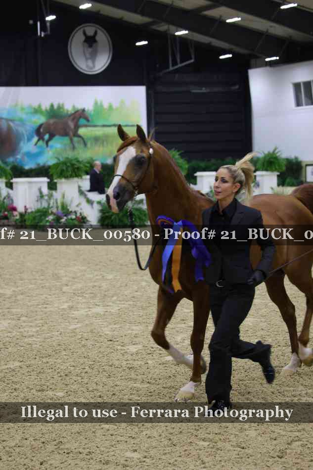 Proof 21_BUCK_00580