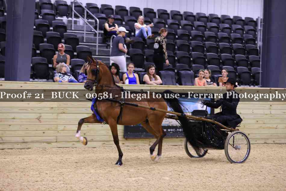 Proof 21_BUCK_00581