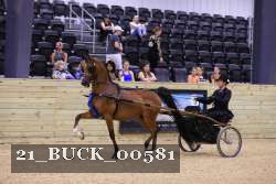 21_BUCK_00581 proof