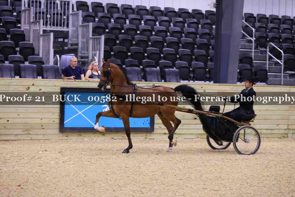 Proof 21_BUCK_00582