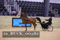 21_BUCK_00582 proof