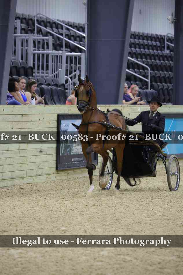 Proof 21_BUCK_00583