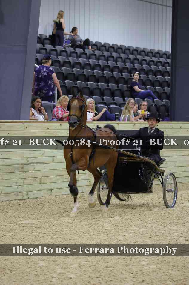 Proof 21_BUCK_00584