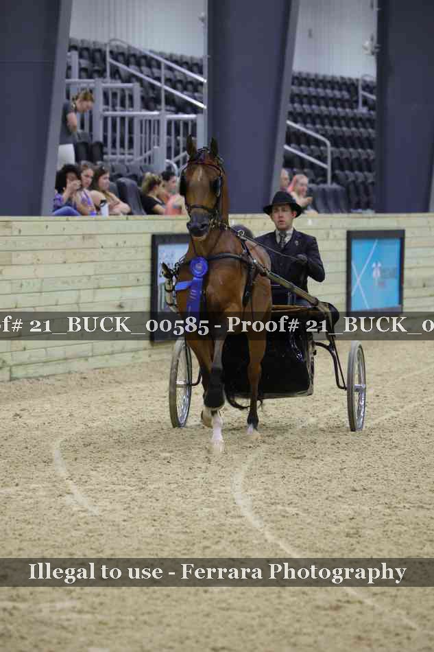Proof 21_BUCK_00585