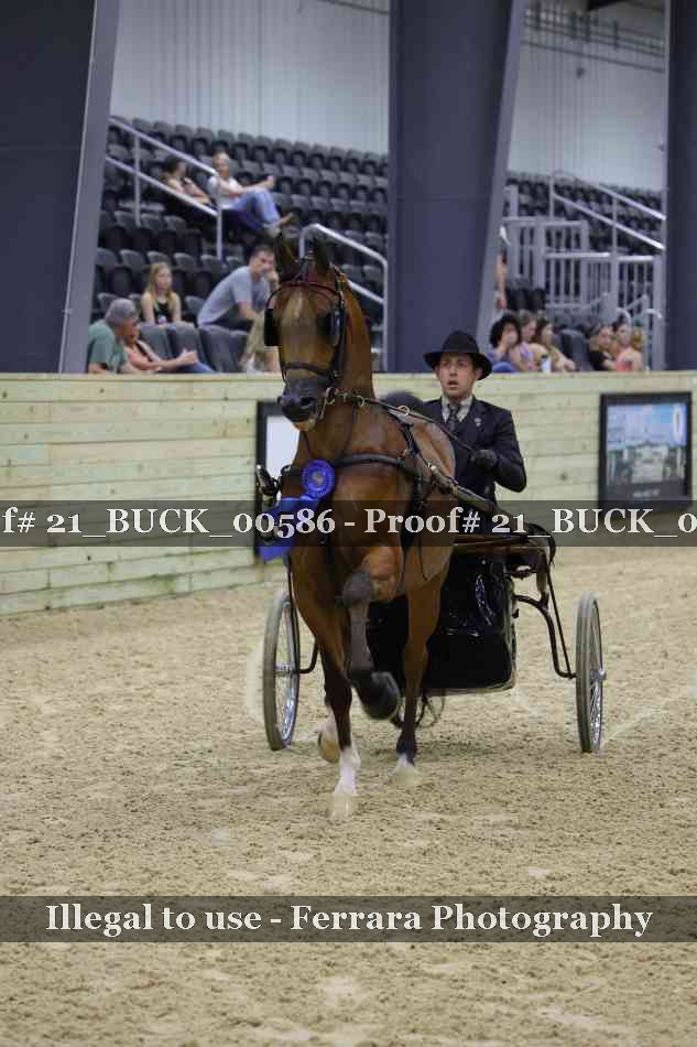 Proof 21_BUCK_00586