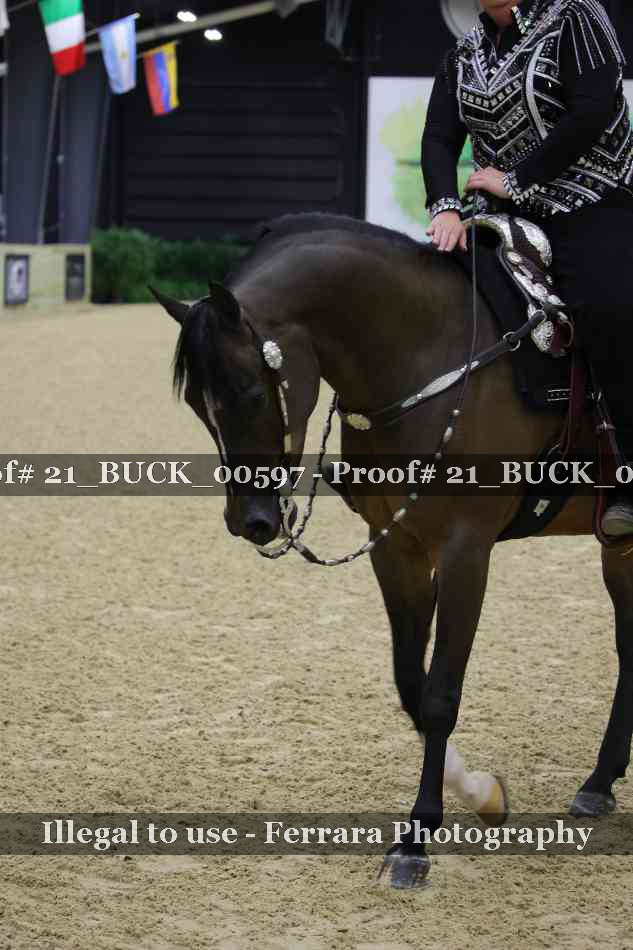 Proof 21_BUCK_00597