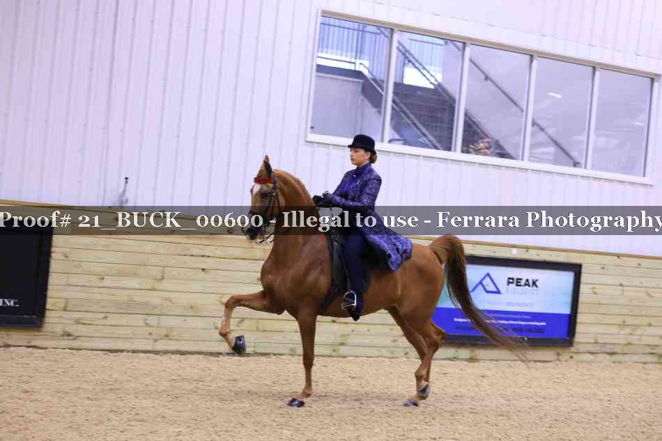 Proof 21_BUCK_00600