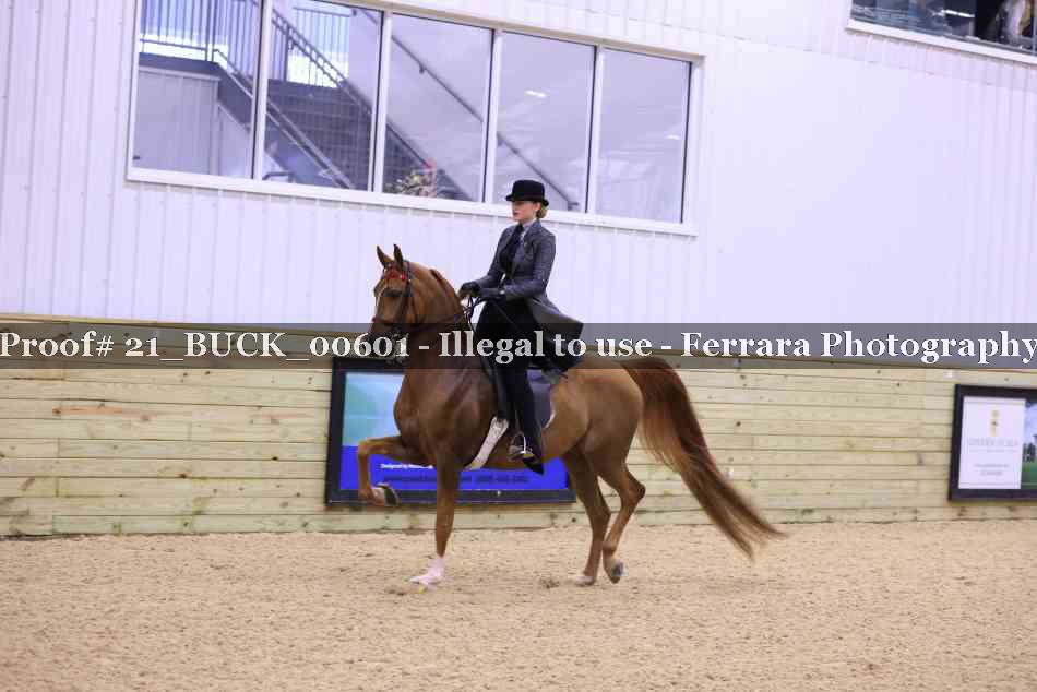 Proof 21_BUCK_00601