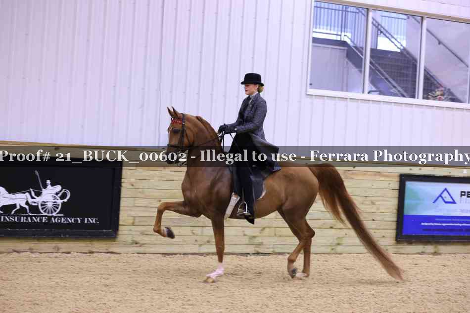 Proof 21_BUCK_00602