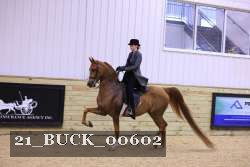 21_BUCK_00602 proof
