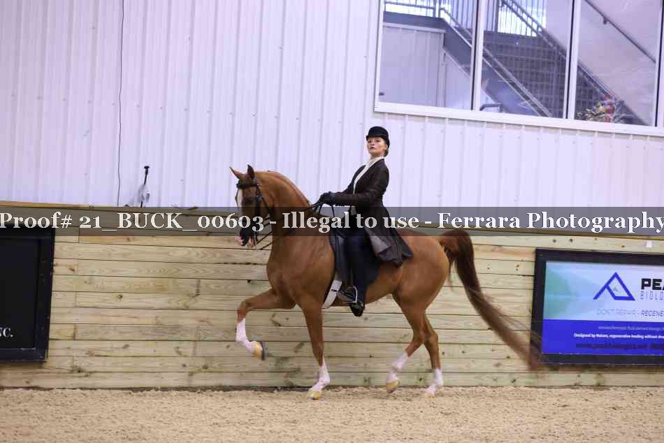 Proof 21_BUCK_00603