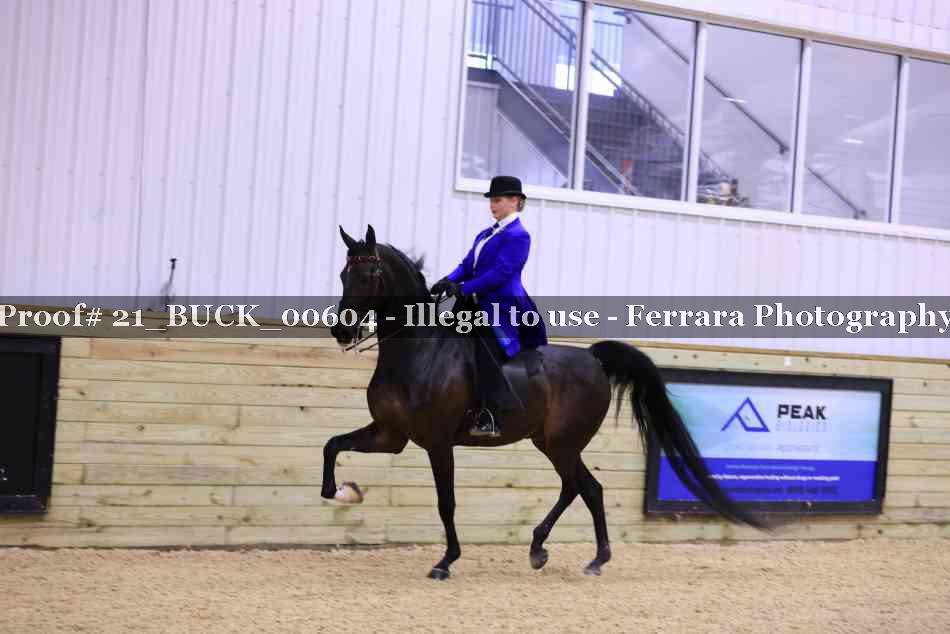 Proof 21_BUCK_00604