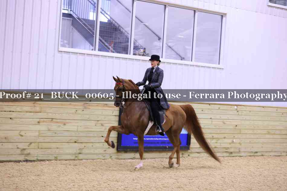 Proof 21_BUCK_00605