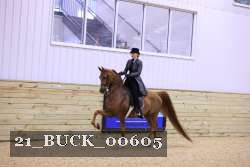 21_BUCK_00605 proof
