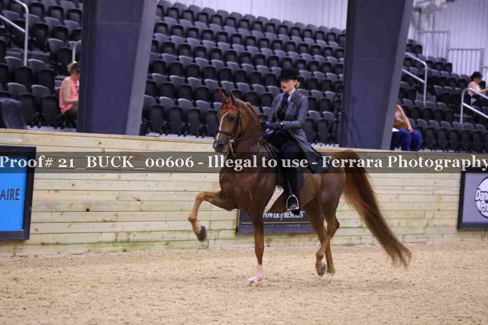 Proof 21_BUCK_00606