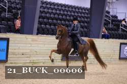 21_BUCK_00606 proof