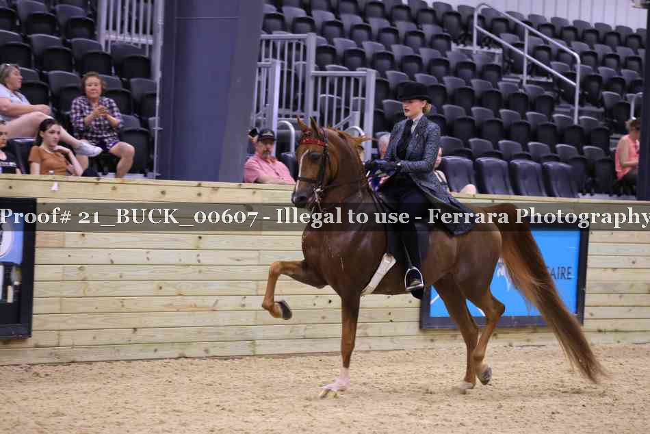 Proof 21_BUCK_00607