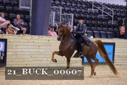 21_BUCK_00607 proof