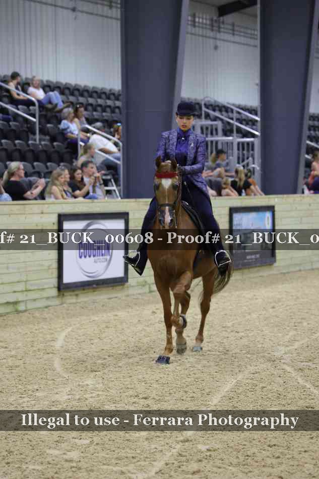 Proof 21_BUCK_00608