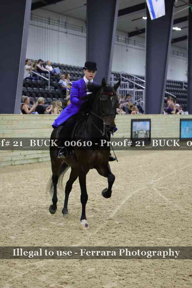 Proof 21_BUCK_00610