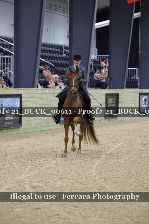 Proof 21_BUCK_00611