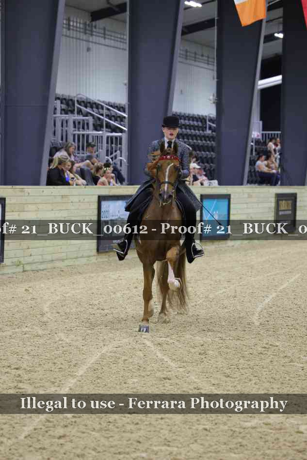 Proof 21_BUCK_00612