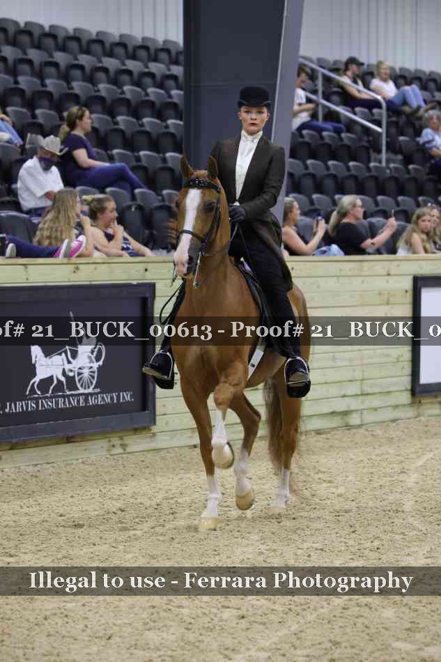 Proof 21_BUCK_00613