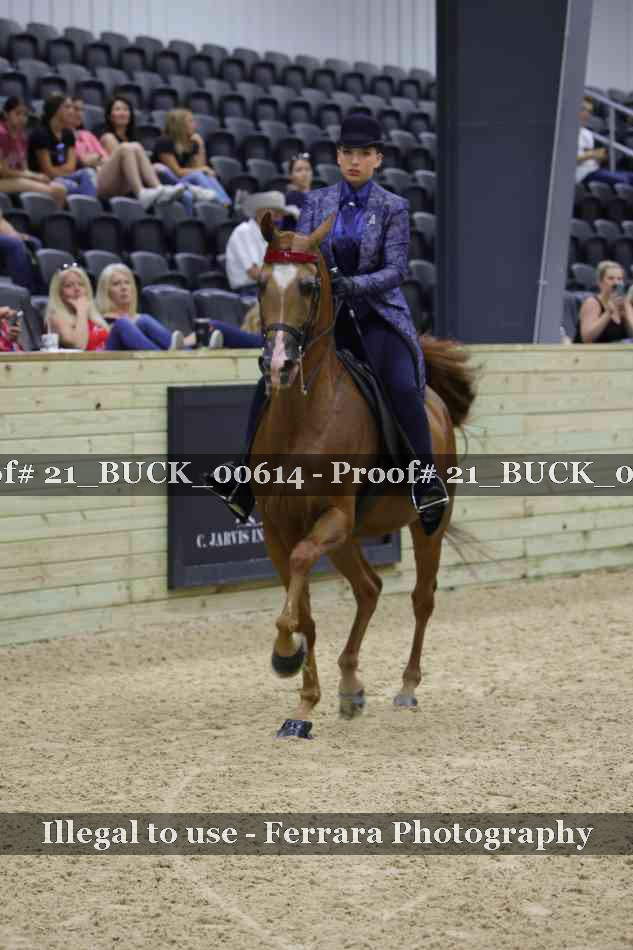 Proof 21_BUCK_00614