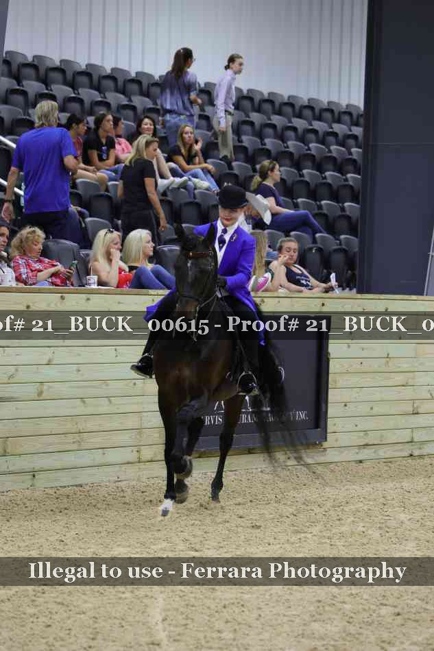 Proof 21_BUCK_00615