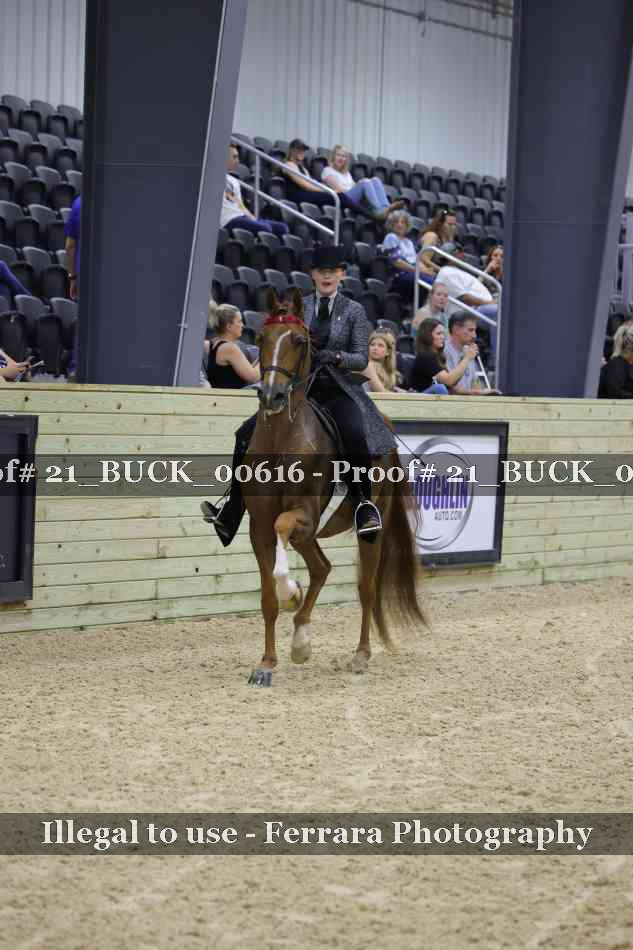 Proof 21_BUCK_00616