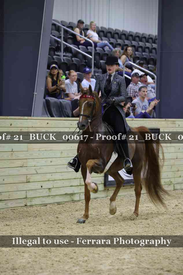 Proof 21_BUCK_00617