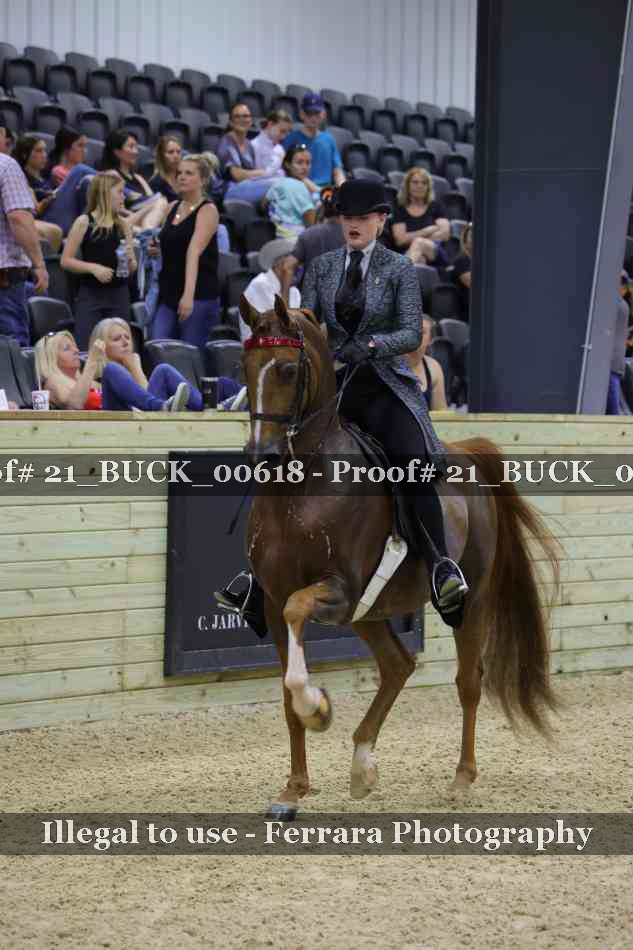 Proof 21_BUCK_00618