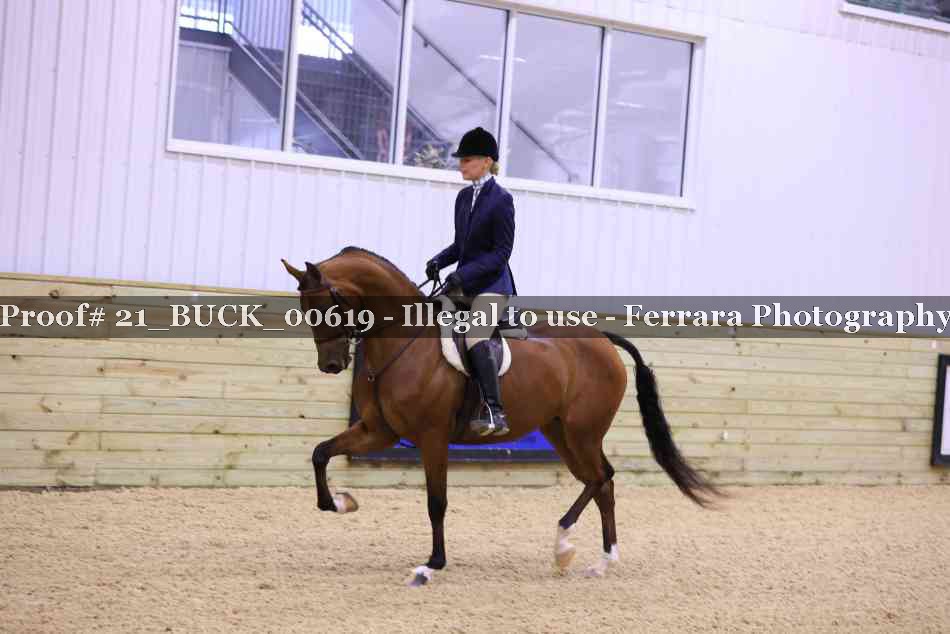 Proof 21_BUCK_00619