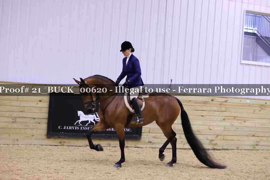 Proof 21_BUCK_00620