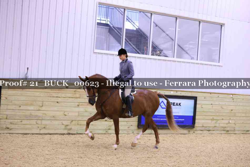Proof 21_BUCK_00623