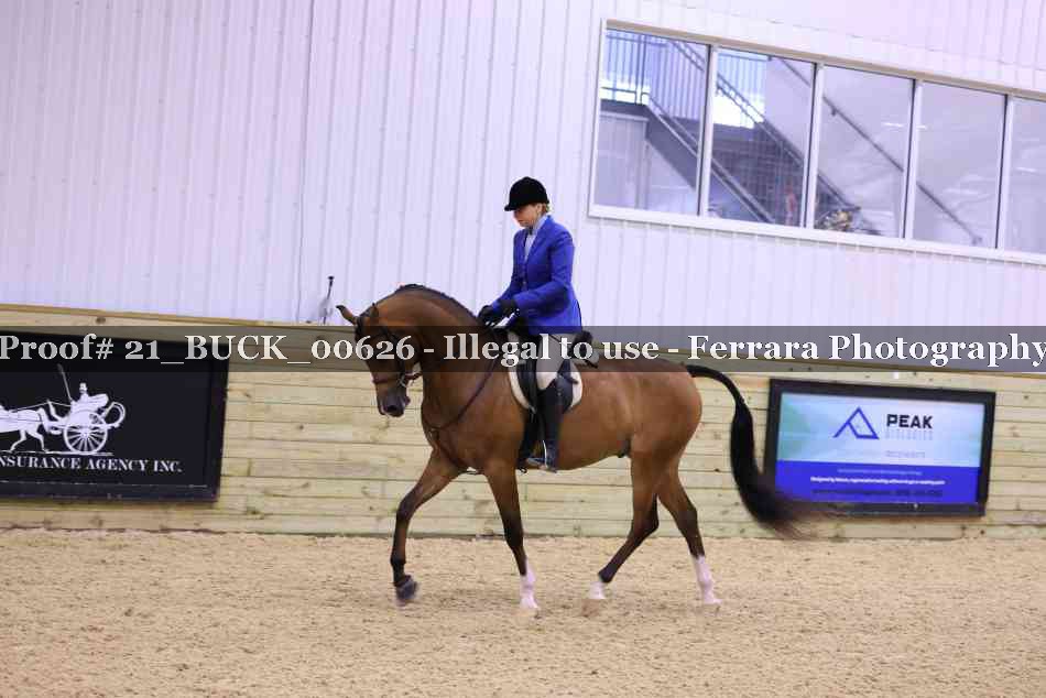 Proof 21_BUCK_00626