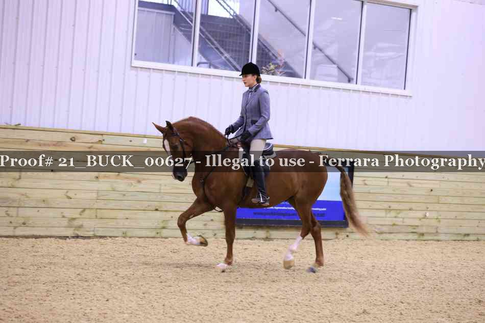 Proof 21_BUCK_00627