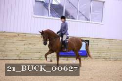 21_BUCK_00627 proof