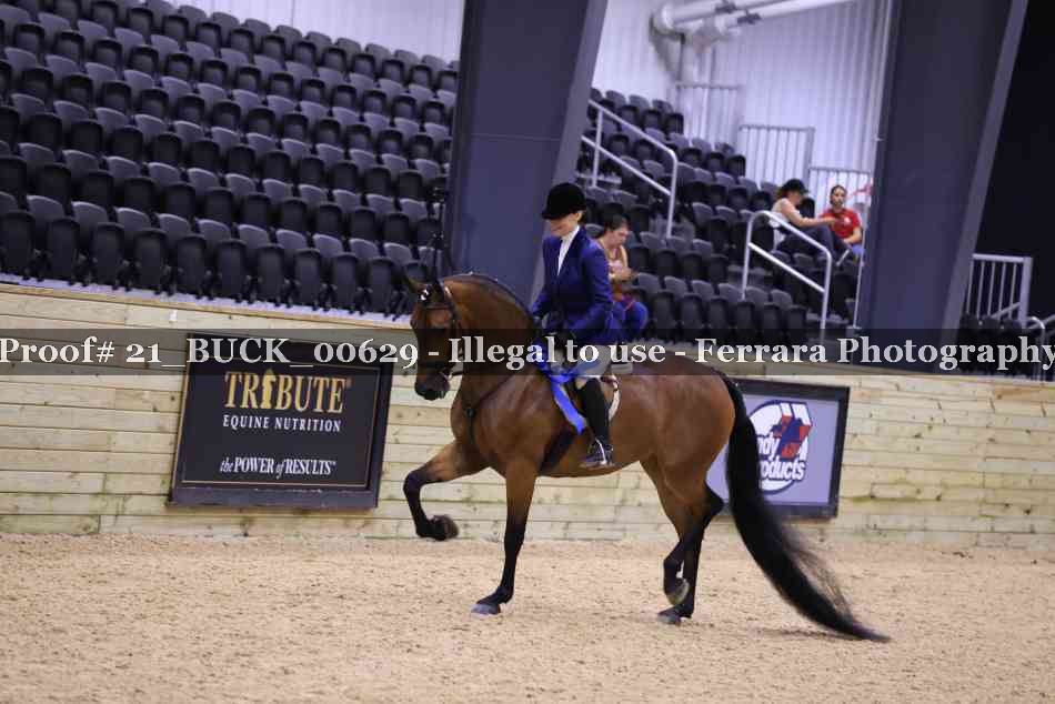 Proof 21_BUCK_00629