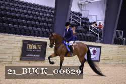 21_BUCK_00629 proof
