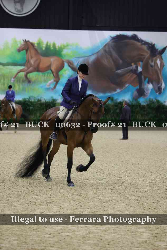 Proof 21_BUCK_00632