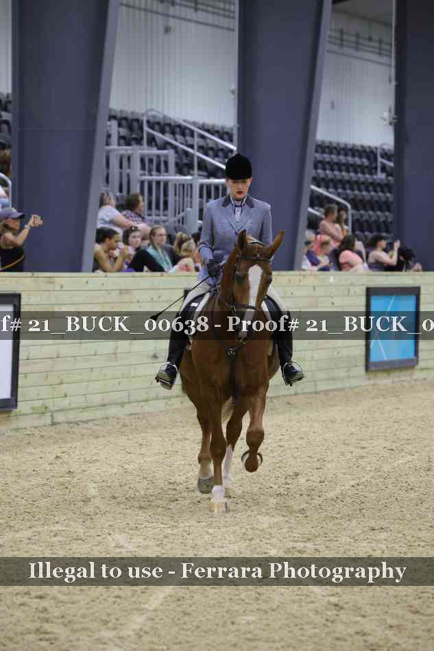 Proof 21_BUCK_00638