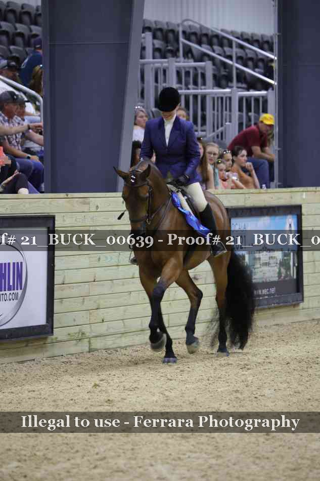 Proof 21_BUCK_00639