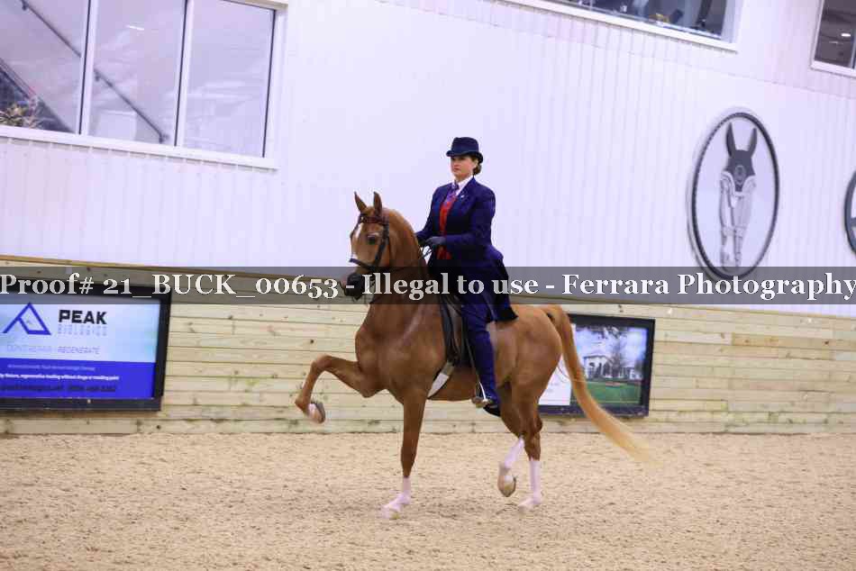 Proof 21_BUCK_00653