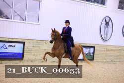 21_BUCK_00653 proof