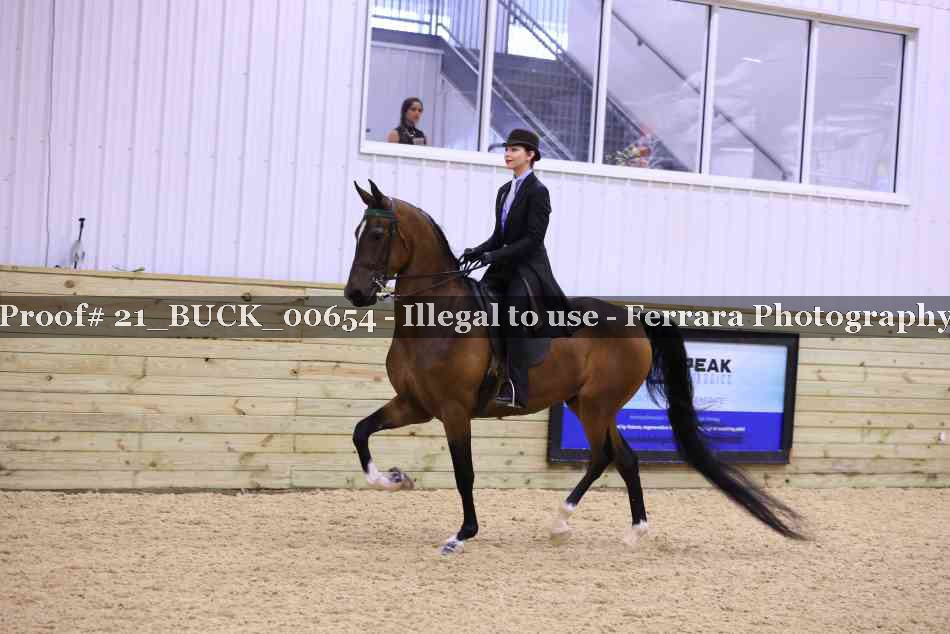 Proof 21_BUCK_00654