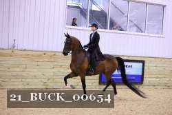 21_BUCK_00654 proof