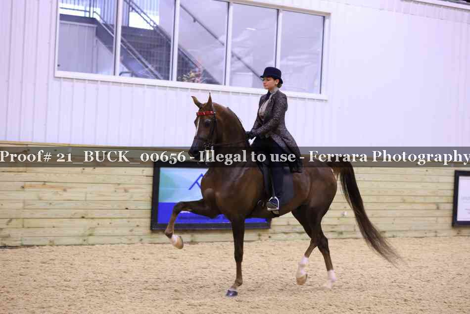 Proof 21_BUCK_00656