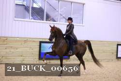 21_BUCK_00656 proof