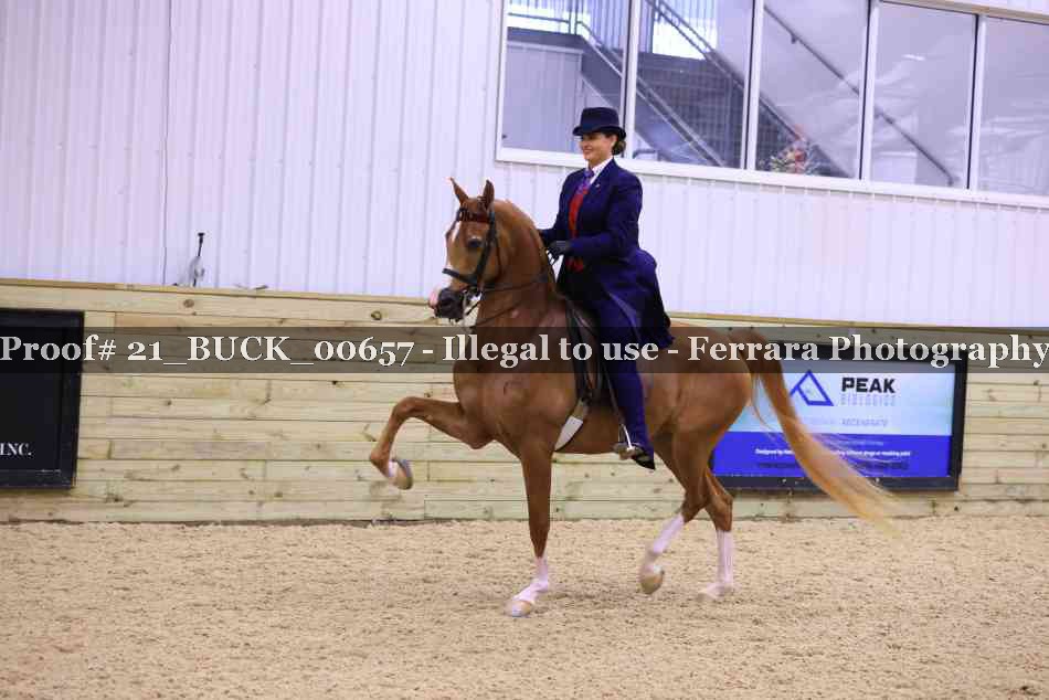 Proof 21_BUCK_00657